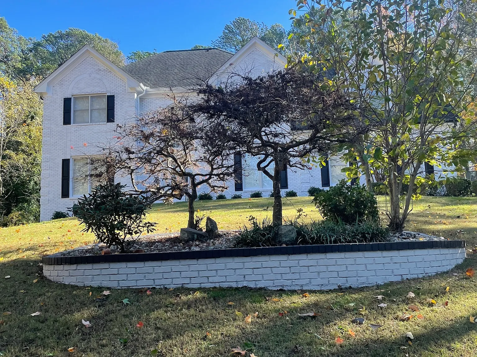1 bed, 1.0 bath, 1650 sqft, $800 — Photo 3