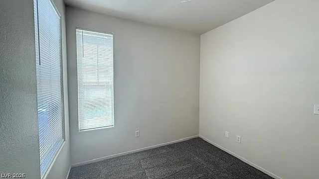 2404 Plaid Cactus Ct — Photo 14