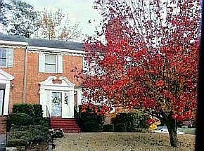 1st image of 701 Crown Pointe Drive