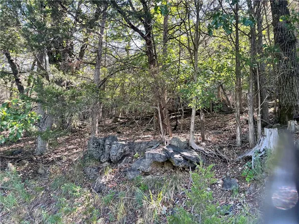 124 Appaloosa Dr #12, Eureka Springs, AR 72631