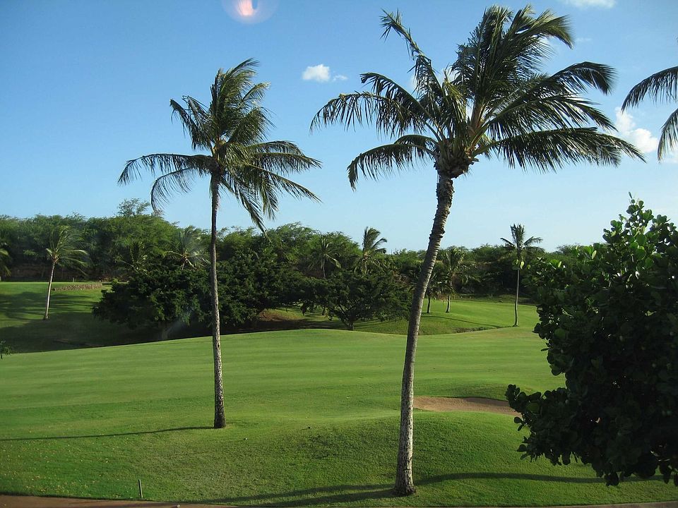 view from all rooms