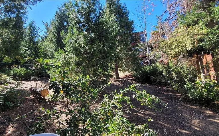 1317 Pinetree Dr — Photo 63