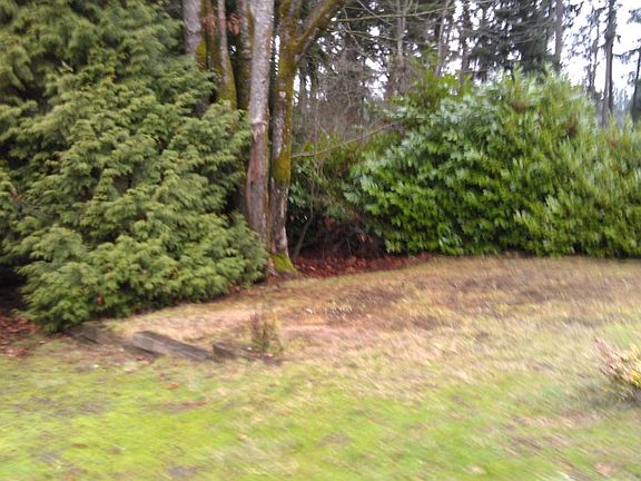 side yard