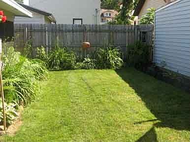 Fenced Backyard
