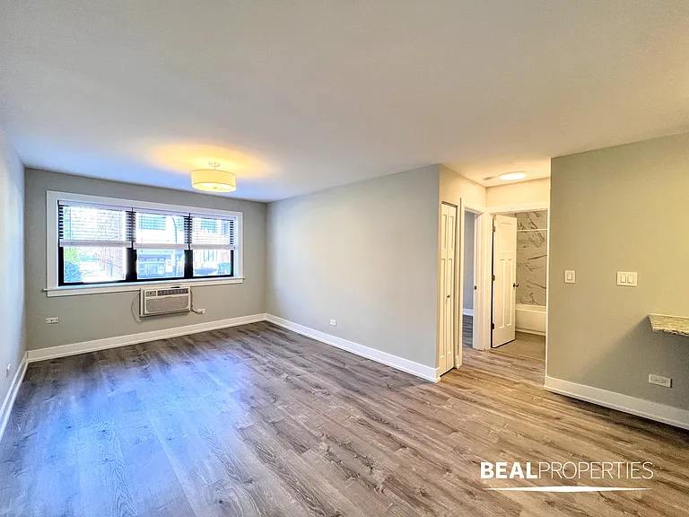 445 W Barry — Photo 92