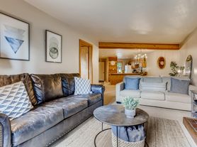 9401 Ryan Gulch Rd, Silverthorne, CO