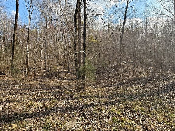 3rd image of 37 Shadow Creek Loop