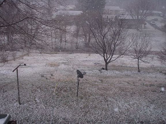 Fence All The Way Around The Backyard