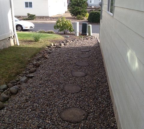 Side yard_11272012
