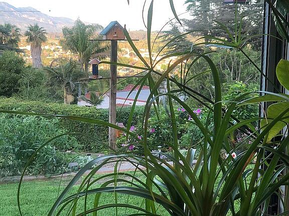 View from Kitchen window