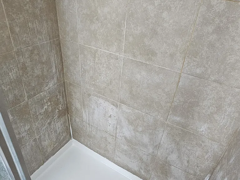 Master Bath #2