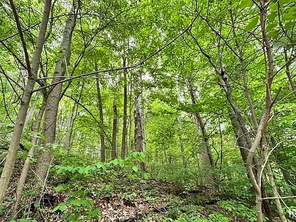 5th image of 0 N Berkshire Ln #284