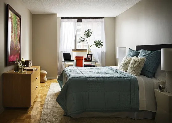 Rented by NOVO | media 2