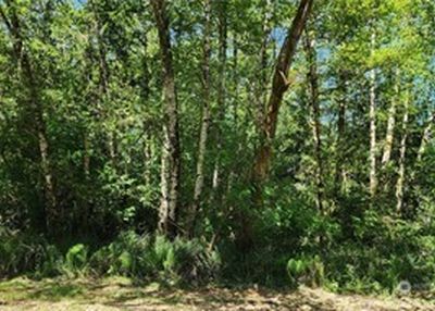 395 Sextans Avenue SW, Ocean Shores, WA, 98569