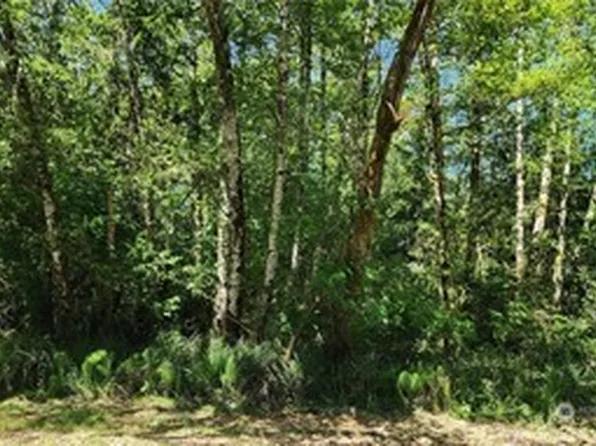 395 Sextans Avenue SW, Ocean Shores, WA 98569