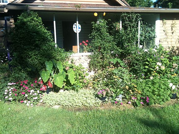 back of the house