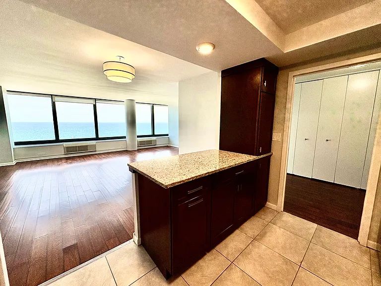 155 N Harbor Dr #2411 — Photo 11