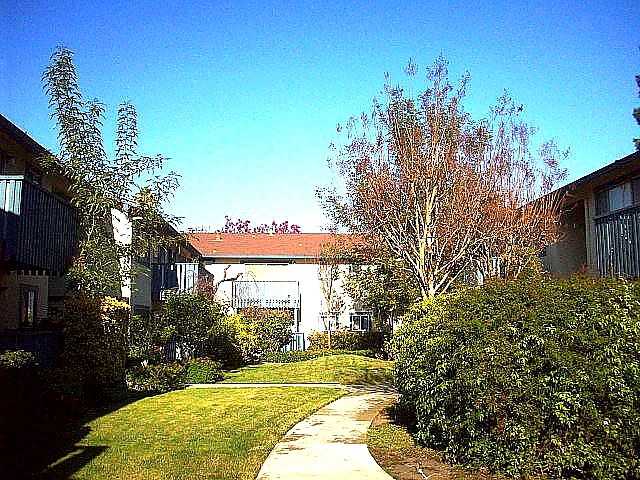 1st image of 835 Bing Dr APT 8