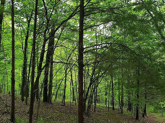 2nd image of 00 Aspen Rd