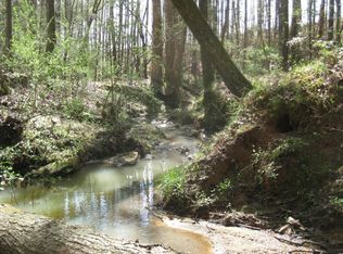 Surveyors Cir, Jenkinsville, SC 29928