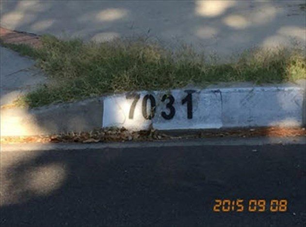 2nd image of 7031 Rhea Ave