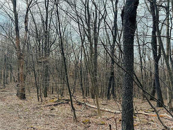 3rd image of LOT Fern Mountain Rd #F