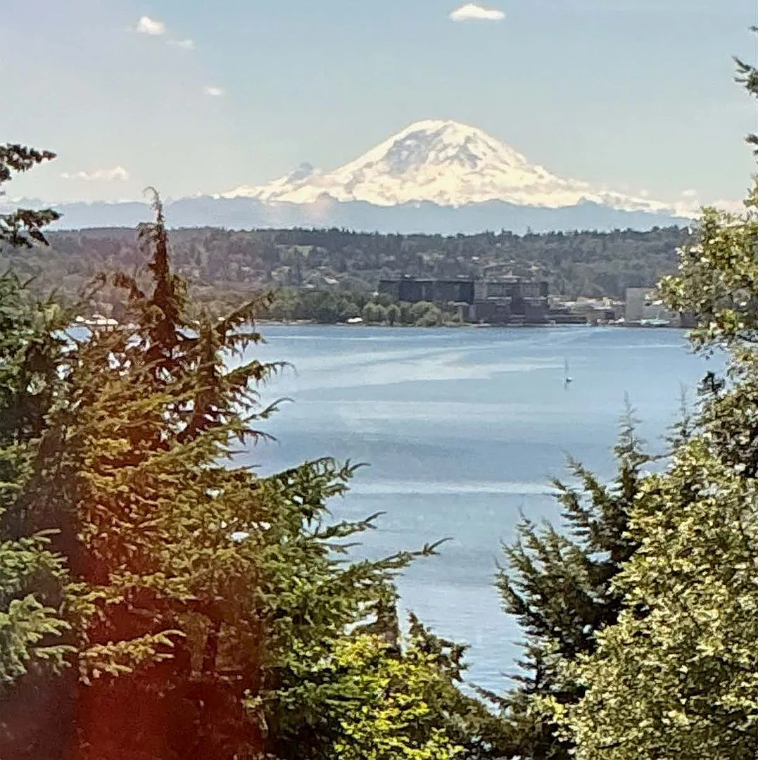 3Bd/2.5Ba Mercer Island Home — Photo 3