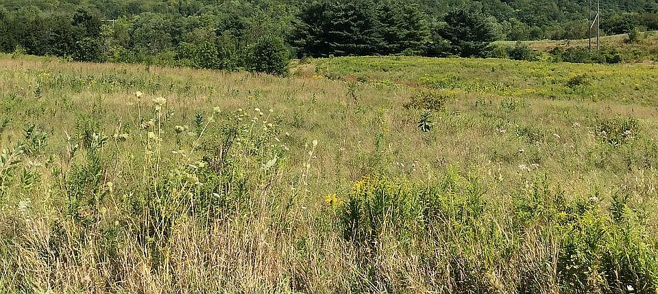 2nd image of 6 Stream View Dr