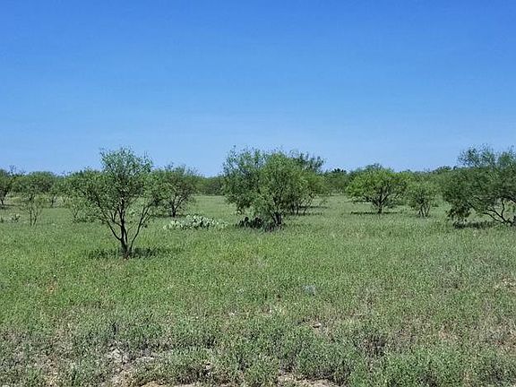 5th image of 4401 County Road 236
