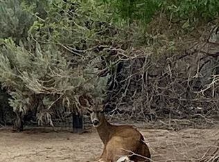 4100 N View Dr, Carson City, NV 89701