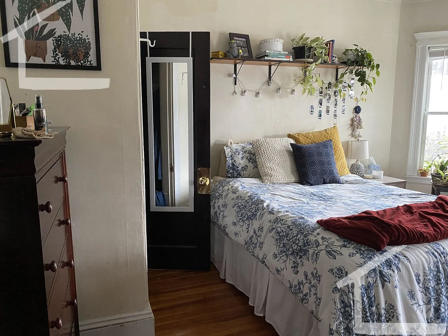 Amazing 3 Bed 1 Bath In Brighton!! — Photo 4