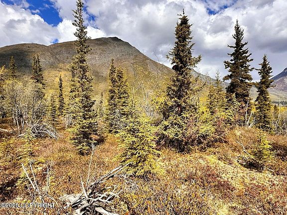 5th image of B005 S Packsaddle Rd