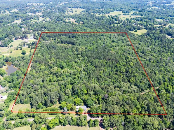 1085 Pyeatt Dr, Gladewater, TX 75647
