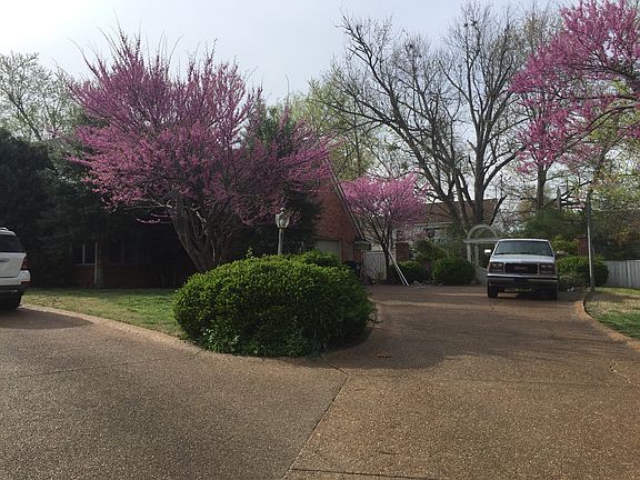 2nd image of 4111 Hillcrest Ave
