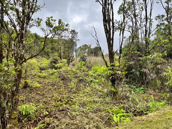 18-4161 Haumalu St Lot 90, Mountain View, HI 96771