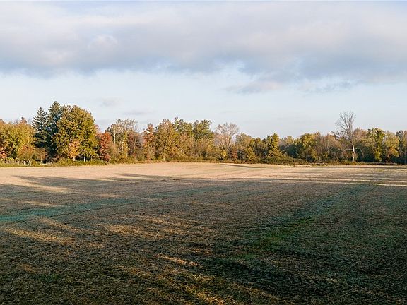 4th image of 7261 Wolff Rd