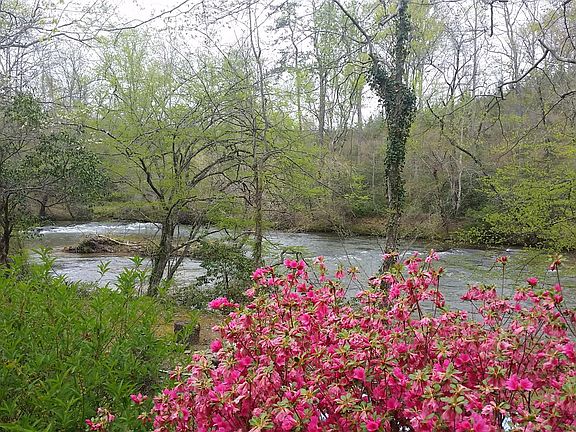 Saluda river