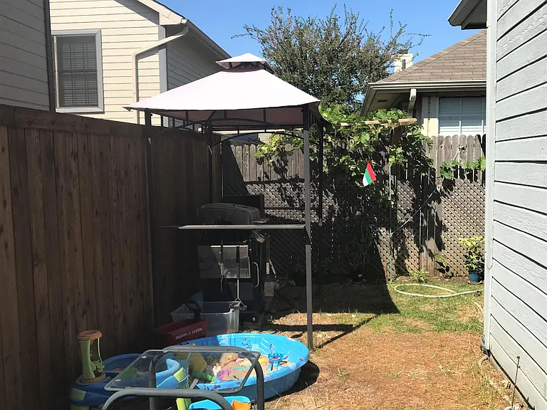 backyard