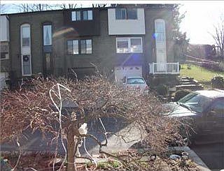 3rd image of 101 Cortland Dr E