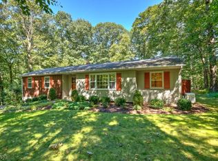 17 Forest View Dr, Long Valley, NJ 07853