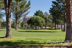 Shaded Setting on Golf Course