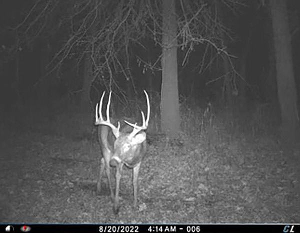 2nd image of County Road 367