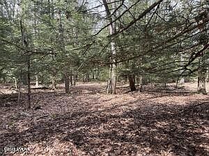 4th image of 122 Eisenhower Dr