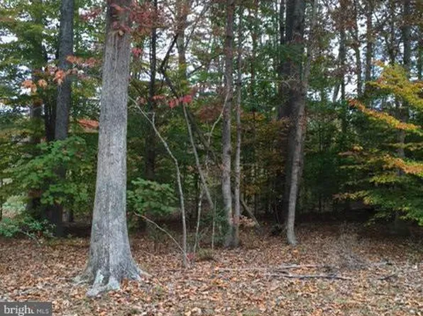 224 Woodside Ln, Ruther Glen, VA 22546