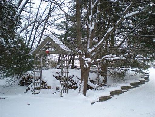 4th image of 37 Unicorn Cir