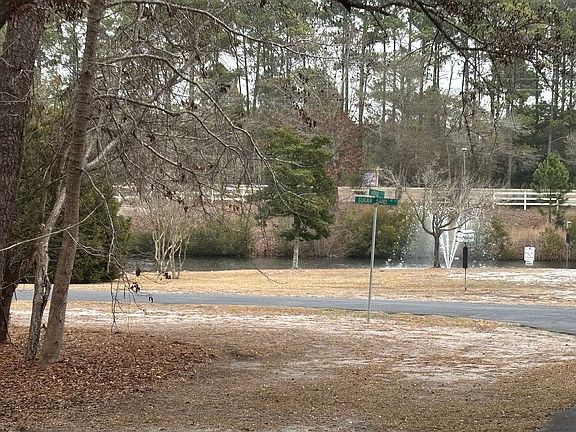 5th image of 790 Heron Cir