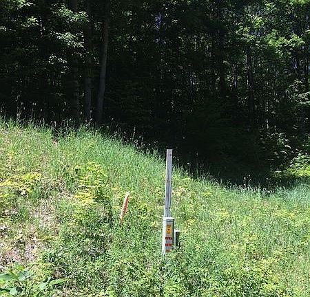 4th image of W Hidden Birch Dr