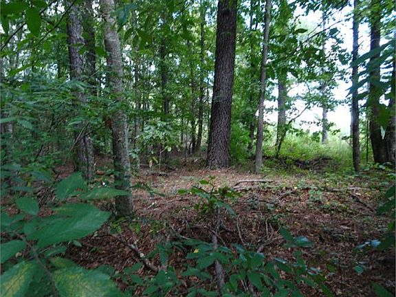 4th image of 667 Hwy 49