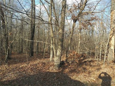 Kirkpatrick Ln, Bella Vista, AR, 72715