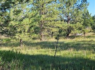 70 Andesite Ln, Florissant, CO 80816
